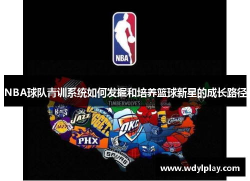 NBA球队青训系统如何发掘和培养篮球新星的成长路径