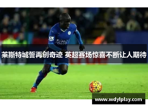 莱斯特城誓再创奇迹 英超赛场惊喜不断让人期待